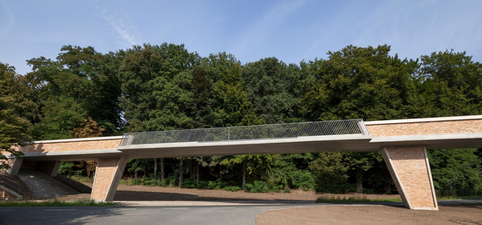 Römerbrücke Aufmacher