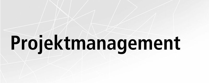 Projektmanagement Leistung